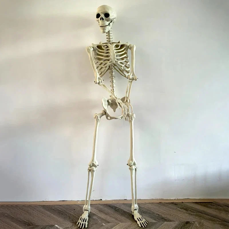 Life-Size Realistic Skeleton Halloween Haunted House Decor